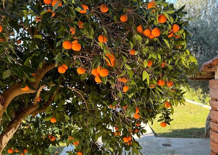 Apartman The Orange Garden