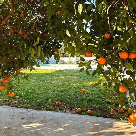 Апартаменты The Orange Garden Нафплион