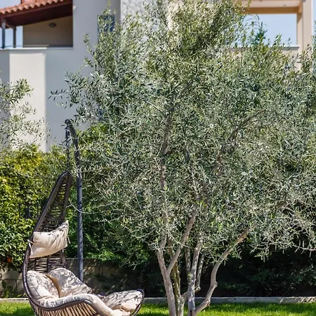 Apartament The Orange Garden