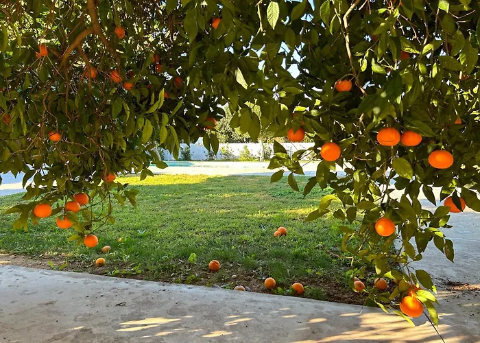 Апартаменты The Orange Garden Нафплион