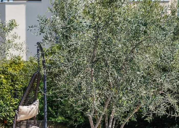 Апартаменты The Orange Garden